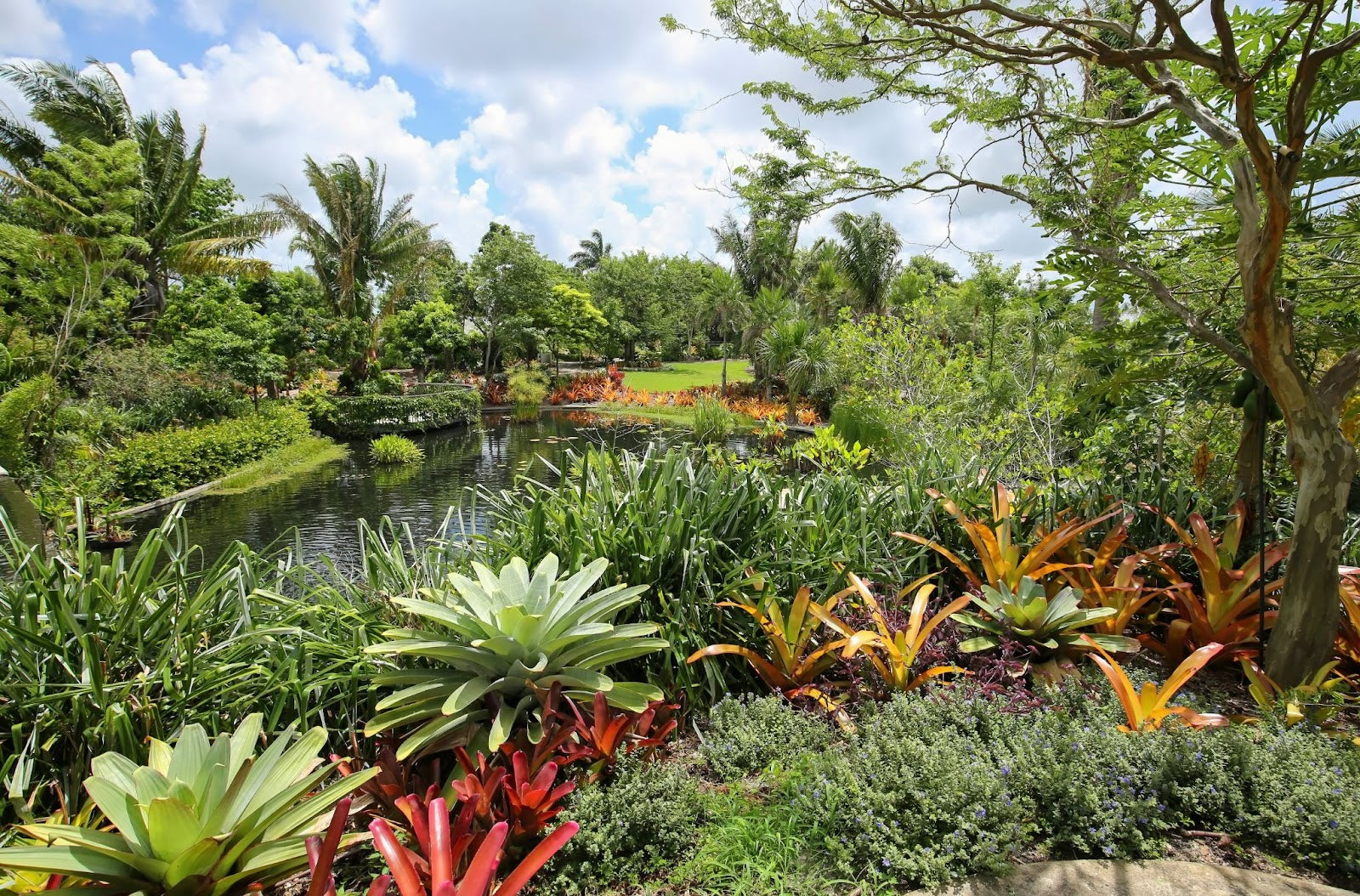 Beautiful Zone 9b botanical garden.